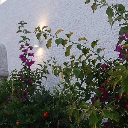 De Luna Hotel
